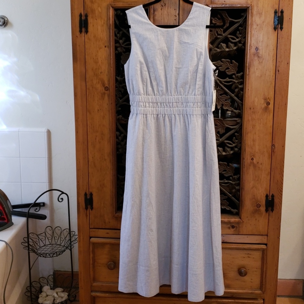 Blue pinstripe dress